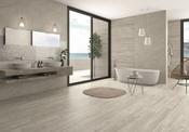 Dreamwood Zinc Wood Effect 20x120cm *41.4y2 / 34.5m2 END LOT CLEARANCE* image