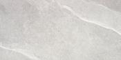 Austral Grey Glossy 59 x 119cm image