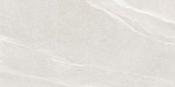 Austral Pearl Glossy 59 x 119cm image