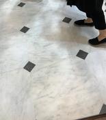 Avalon Marble Honed 61x61cm (Iris Black Insert)