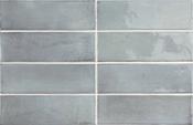 Coco Blue Grass Glossy 5 x 15cm image
