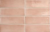 Coco Orchard Pink Glossy 5 x 15cm image