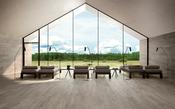 Primewood Taupe Wood Effect 20 x 120cm