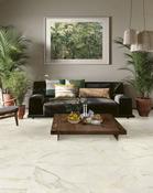 Livingstone Gold 60x120cm
