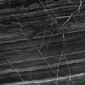 Olsom Polished (Black marble look) 100 x 100cm