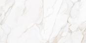 Paonazzo Gold 60x120cm
