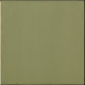 Salavia Evolution 10x10cm