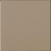 Tortora Evolution 10x10cm