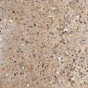 Trento Beige 22.5x22.5cm image