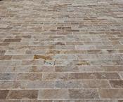 Walnut Stone Paver - Tumbled 15x30cm