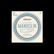 Daddario EJ62 10 Gauge Mandolin Strings image