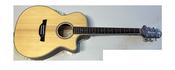 Crafter TE 6/N