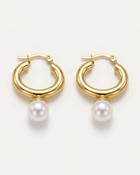 Meredith Gold Pearl Drop Hoop Earrings image