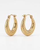 Olivia Gold Ribbed Hoop Earrings image