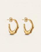 Ash Earrings image