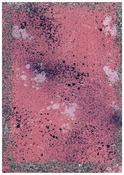 JJ1343