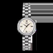 Tissot 28mm Silver Desir, White Mother of Pearl Dial, Ladies Bracelet Watch