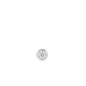 Ania Haie Sterling Silver Sparkle Bezel CZ Single Stud image