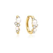Ania Haie Gold Plated CZ &amp; Shell Pearl Cluster Huggie Hoop Earrings image