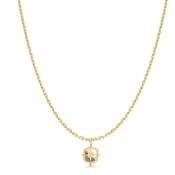 Ania Haie Gold Plate Mother of Pearl &amp; CZ Star Necklace