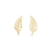 9ct Yellow Gold Leaf Stud Earrings