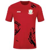Adult JAKO Borrisokane FC Jersey Team S/S BK4233