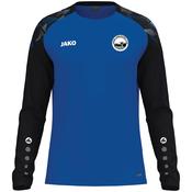 Adult JAKO CASHEL TOWN Longsleeve Sonic CT8826 image