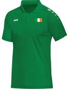Adults DS Ireland Supporters Polo DSI6350 image