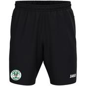 Adult JAKO Nenagh Celtic FC Woven Shorts One NE6200 image