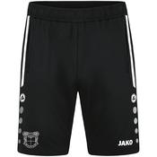 Adult JAKO MEPHAM SOCCER Training shorts Allround MS8589