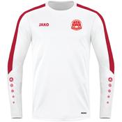 Adult JAKO Shito-Ryu Shukokai Karatedo Ireland Sweater Power SRSK8823 image