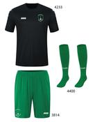 Adult JAKO WAYSIDE CELTIC Juvenile Player Pack WC-4444