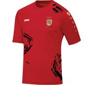 Kids JAKO St Josephs FC Athlone Training Jersey SJA4233K image