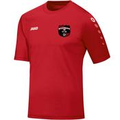 Adult JAKO Towerhill Rovers Jersey Team 4233TH image