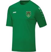 Kids Adult JAKO Portlaoise AFC Team Jersey PAFK4233 image