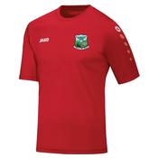 Adult JAKO Dromahair Ladies Jersey DL4233 image