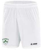 ADULT NY SHAMROCKS JAKO REPLICA SHORTS NYS4400 image