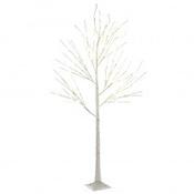 Birch Tree LED