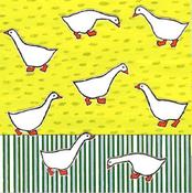 Blank - Ducks image