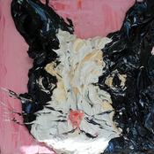 The Black and White Cat  original (pink) image