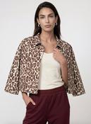 Leopard Print Jacket - Brown Sugar Pattern image