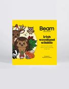 Beam Activity Book- Irish Woodland Wildlife