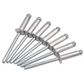 50 x 4.8mm x 16mm Blind Rivets image