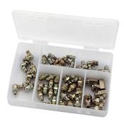 50 Assorted BSPt Grease Nipples