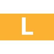 Amber Left Rocker Switch Lens – bottom half