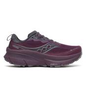 Women's Saucony Guide- TR GTX