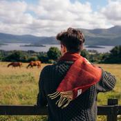 Irish Cashmere Merino Scarf Olive Maroon Herringbone image