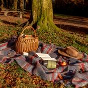 Large Irish Picnic Blanket Denim Blue Rust Red Plaid image