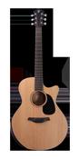 Furch Violet Deluxe Gc-EM