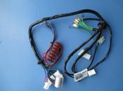 ICB317001 Mains Voltage Wiring Harness